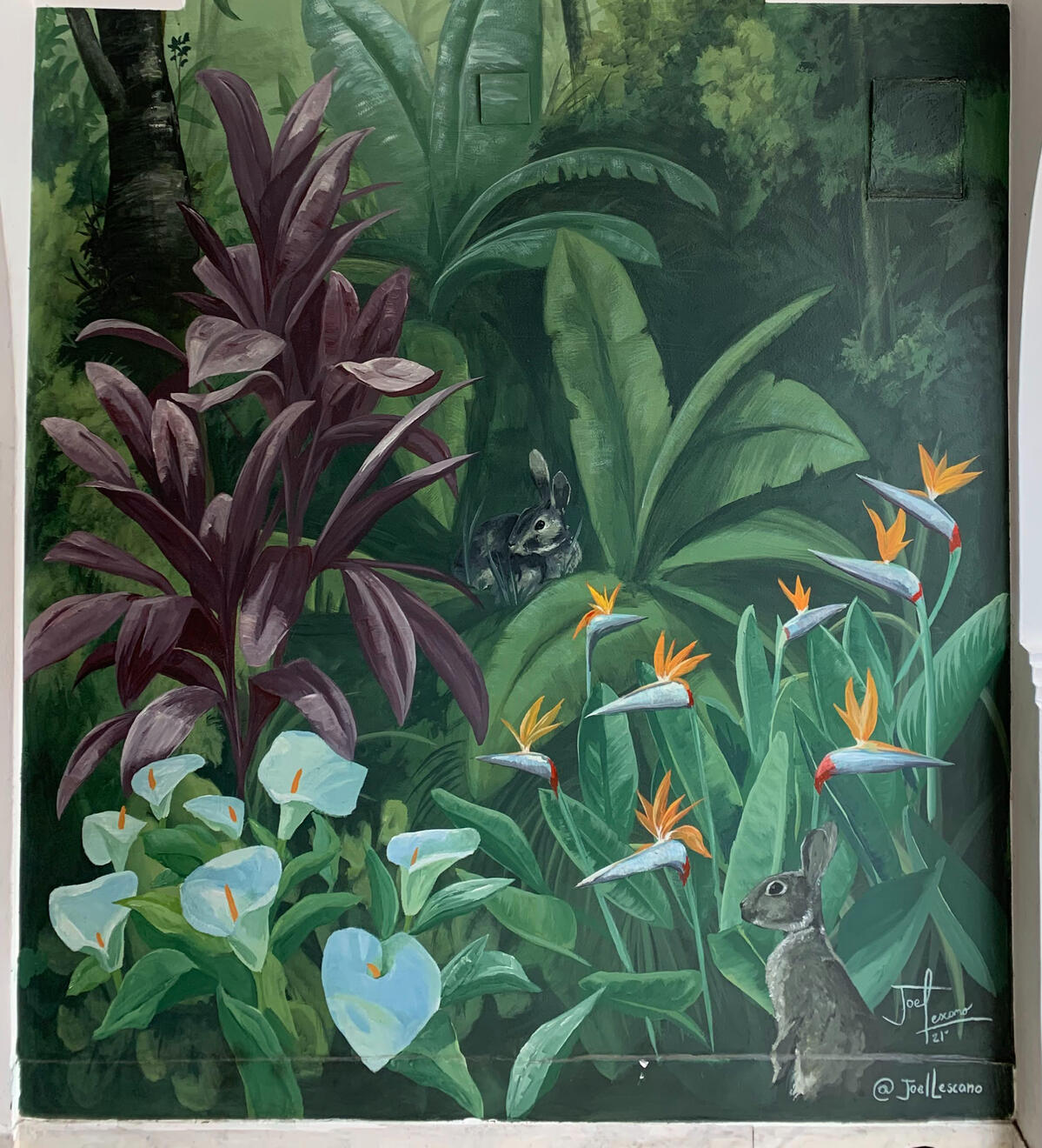 Sal Si Puedes (Buenos Aires)