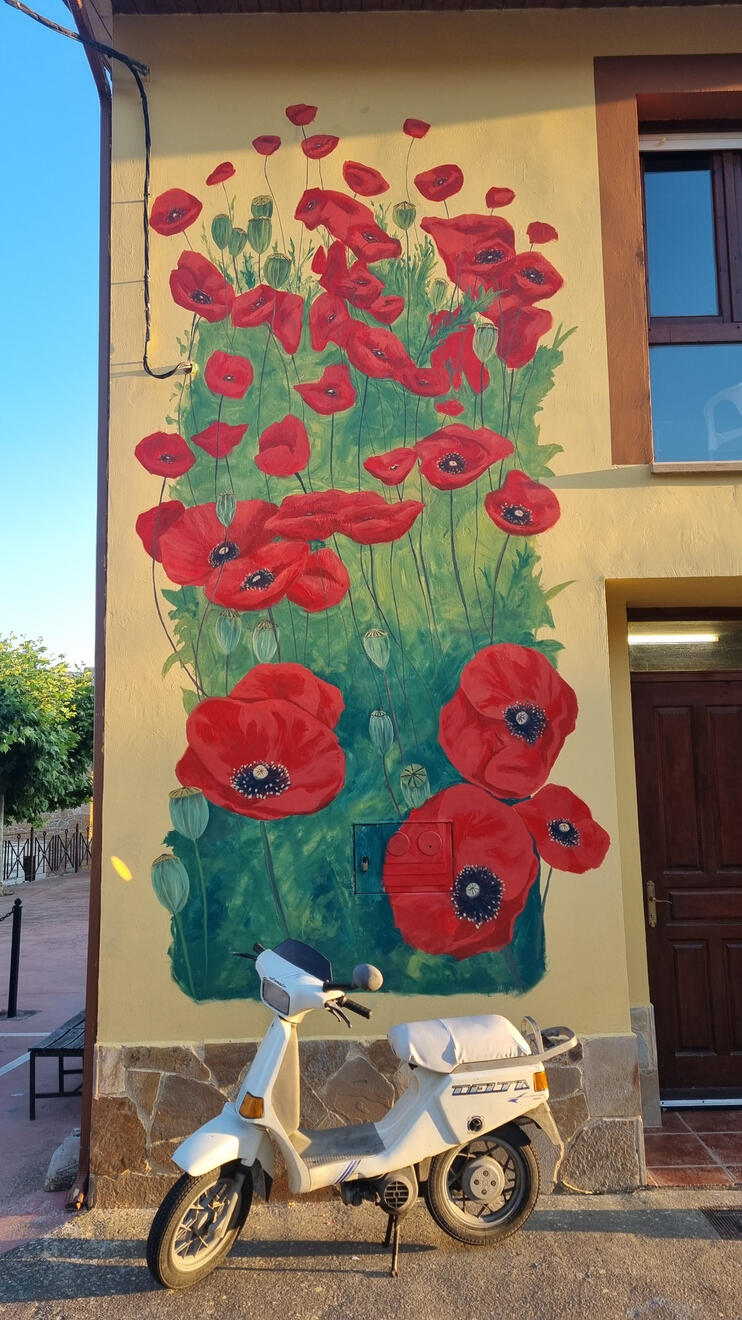 Ampolas de Primavera (Valhermosa)